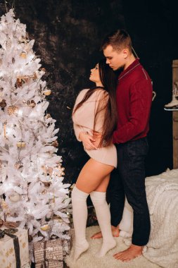 Birbirlerine aşık genç bir çift stüdyoda rahat bir Noel süslemesiyle poz veriyorlar. Yeni yılın aşk hikayesi.. 