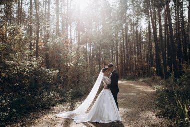 Güzel mutlu gelin ve damat düğün günü ormanda birbirlerine sarılıp poz veriyorlar.                            