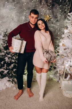 Birbirlerine aşık genç bir çift stüdyoda rahat bir Noel süslemesiyle poz veriyorlar. Yeni yılın aşk hikayesi.. 
