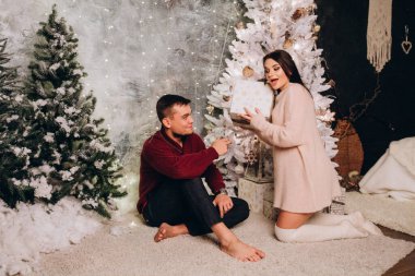 Birbirlerine aşık genç bir çift stüdyoda rahat bir Noel süslemesiyle poz veriyorlar. Yeni yılın aşk hikayesi.. 