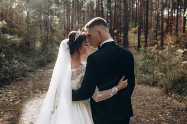 Genç gelin ve damadın düğün günü ormanda birlikte yürüyüşünün arka manzarası.             