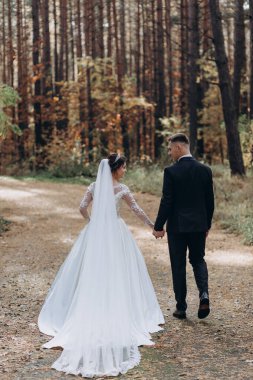 Genç gelin ve damadın düğün günü ormanda birlikte yürüyüşünün arka manzarası.             