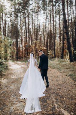 Genç gelin ve damadın düğün günü ormanda birlikte yürüyüşünün arka manzarası.             
