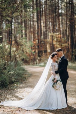 Güzel, mutlu, genç bir çift parkta birlikte poz veriyor.