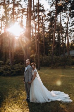 Güzel, mutlu, genç bir çift yaz parkında poz veriyor.       