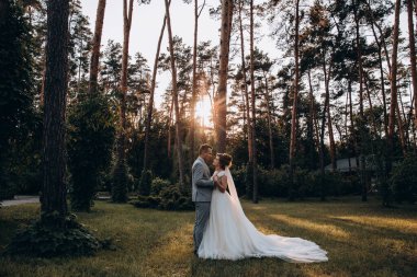 Güzel, mutlu, genç bir çift yaz parkında poz veriyor.       