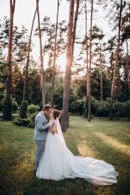 Mutlu genç gelin ve damat parkta öpüşme              