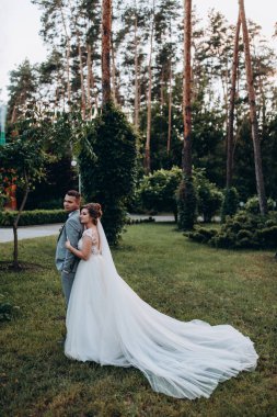 Güzel, mutlu, genç bir çift yaz parkında poz veriyor.       