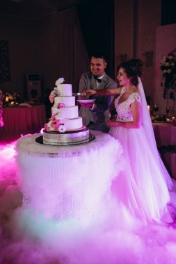 Mutlu gelin ve damat düğün gününü kutluyor ve düğün pastasını kesiyor.           