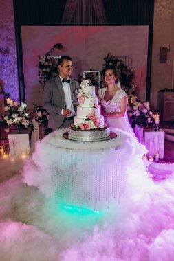 Mutlu gelin ve damat düğün gününü kutluyor ve düğün pastasını kesiyor.           