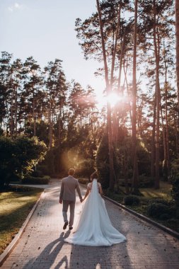 Genç ve mutlu bir çift yaz parkında yürüyor.          