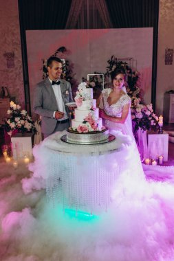 Mutlu gelin ve damat düğün gününü kutluyor ve düğün pastasını kesiyor.           