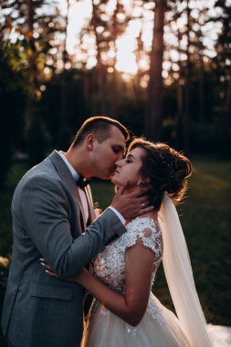 Mutlu genç gelin ve damat parkta öpüşme              