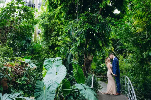 Tropikal bahçede gelin ve damat Tropikal ormanda düğün çifti 