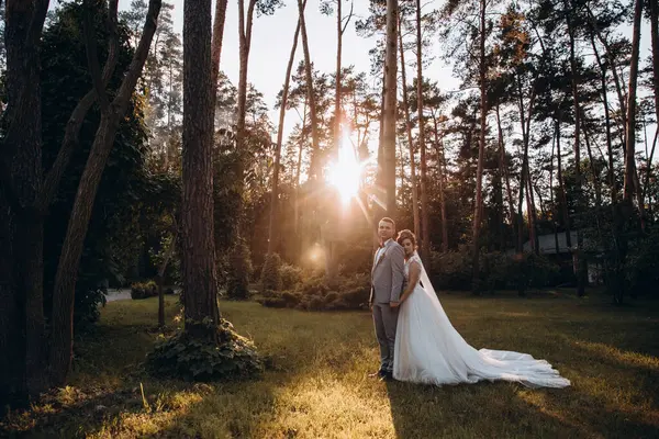 Güzel, mutlu, genç bir çift yaz parkında poz veriyor.       