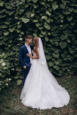 Güzel mutlu gelin ve damat düğün günü parkta poz veriyor.        