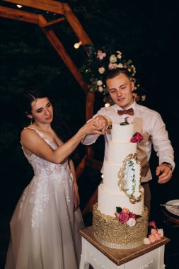 Gelin ve damat düğün töreninde düğün pastasını kesiyorlar. 