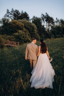 Gelin ve damadın el ele tutuşup parkta yürüdüğü arka manzara..             