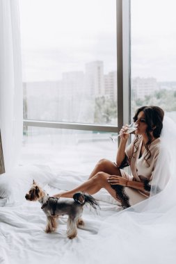 İpek bornoz ve peçeli güzel bir kadın şarap içiyor ve evde şirin küçük bir köpekle oynuyor.               