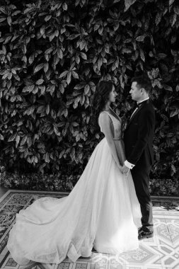 Parkta poz veren genç bir çiftin portresi..               