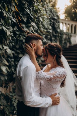 Dışarıda sarılan genç ve güzel bir çiftin yan görüntüsü.