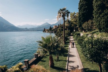 Gelin ve damat parkta bir düğün yürüyüşünde.  