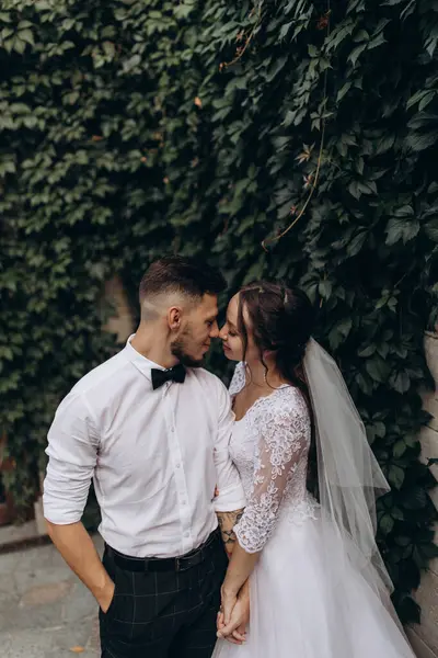 Parkta öpüşen genç bir çiftin portresi..                