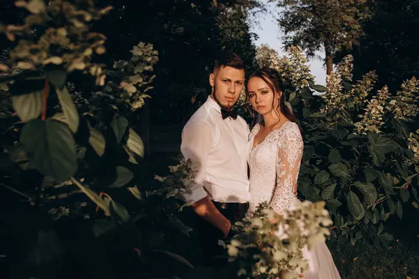 Parkta kucaklaşan genç bir çiftin portresi..                        