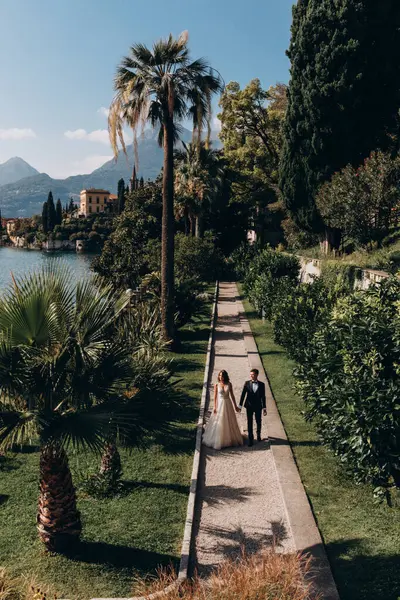 Gelin ve damadın el ele tutuşup parkta yürüdüğü yüksek açılı manzara.
