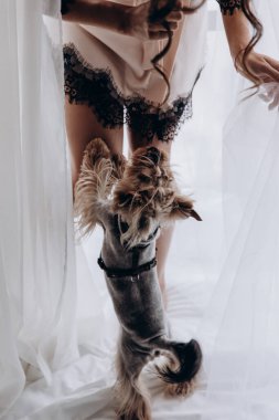 Güzel gelin Yorkshire teriyeriyle oynuyor. 