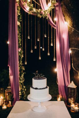 Nefis dekore edilmiş düğün pastasının yakın plan görüntüsü.                           