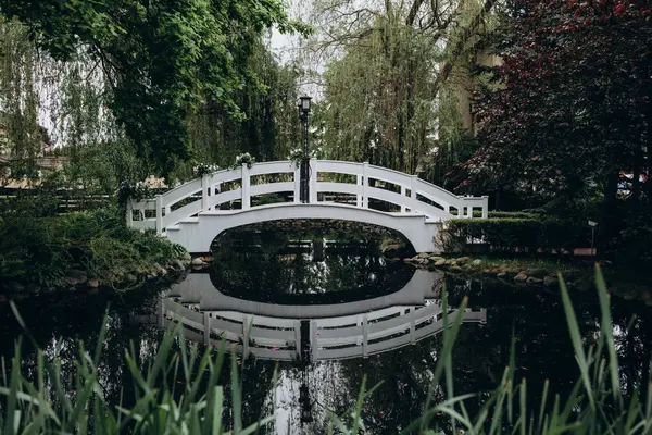 Parktaki beyaz köprü ve göletin güzel manzarası