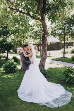 Güzel, mutlu, genç bir çift parkta birbirlerine sarılıp poz veriyorlar.                     