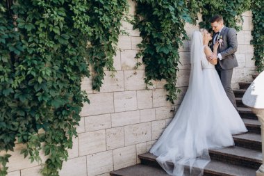 Mutlu gelin ve damat düğün günü yeşil yapraklarla duvarın yanında poz veriyor.        