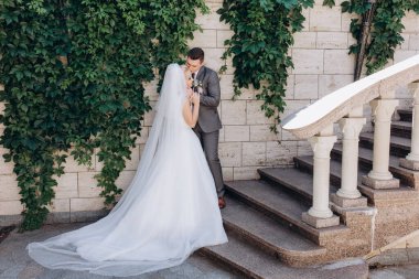 Mutlu gelin ve damat düğün günü yeşil yapraklarla duvarın yanında poz veriyor.        