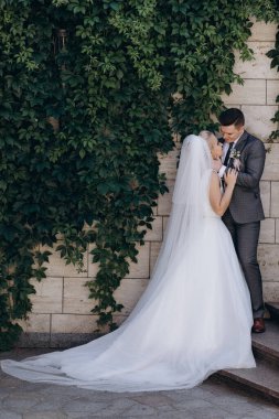 Mutlu gelin ve damat düğün günü yeşil yapraklarla duvarın yanında poz veriyor.        