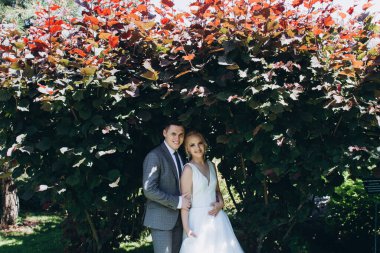 Güzel, mutlu, genç bir çift parkta poz veriyor.          