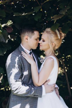 Güzel, mutlu, genç bir çift parkta sarılıp öpüşüyor.                  