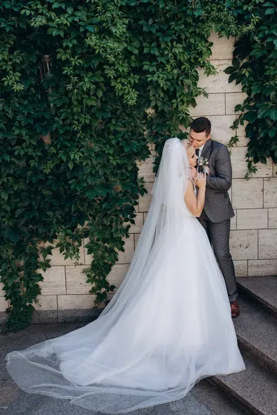 Mutlu gelin ve damat düğün günü yeşil yapraklarla duvarın yanında poz veriyor.        