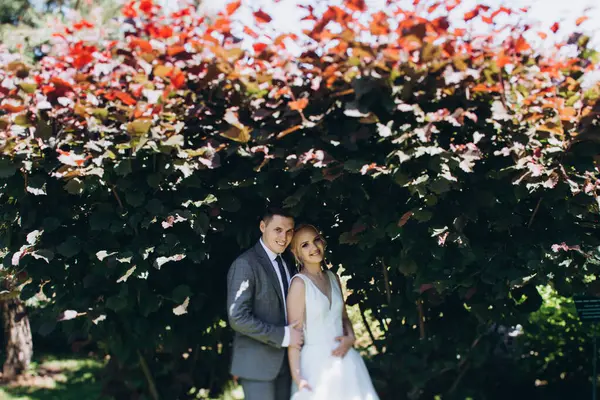 Güzel, mutlu, genç bir çift parkta poz veriyor.          