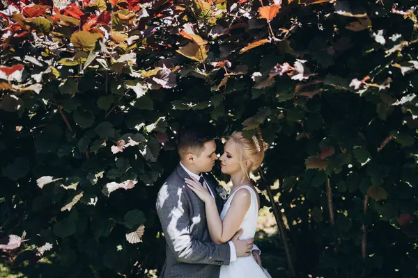 Güzel, mutlu, genç bir çift parkta birbirlerine sarılıp poz veriyorlar.                     