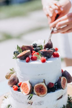 Açık havada meyve ve böğürtlenli güzel düğün pastası. 