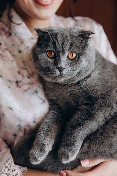 close-up view of woman holding adorable grey cat