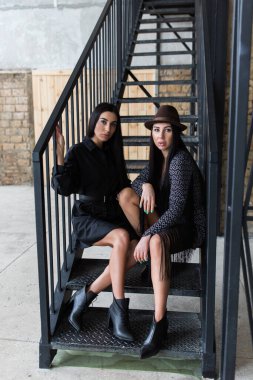 Güzel, genç, esmer kadınlar metal merdivenlerde birlikte oturuyorlar.