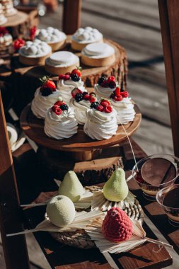 Düğün resepsiyonundaki gurme atıştırmalıklarının yakın plan görüntüsü, büfe masası.        