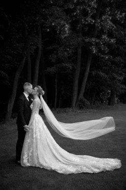 Güzel bir düğün çifti parkta sarılıp öpüşüyor.