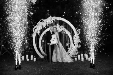 Mutlu gelin ve damat gece parktaki düğün töreninde