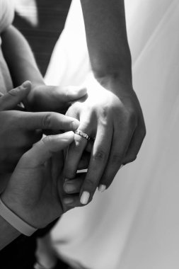 Gelin ve damat elleri alyanslarla birlikte.