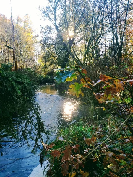 Parkanur, Castlecaufield orman yürüyüşü, Kuzey İrlanda 