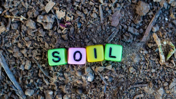 Word Soil Colorful Block Bead Letters Ground High Quality Photo — Stock Photo, Image